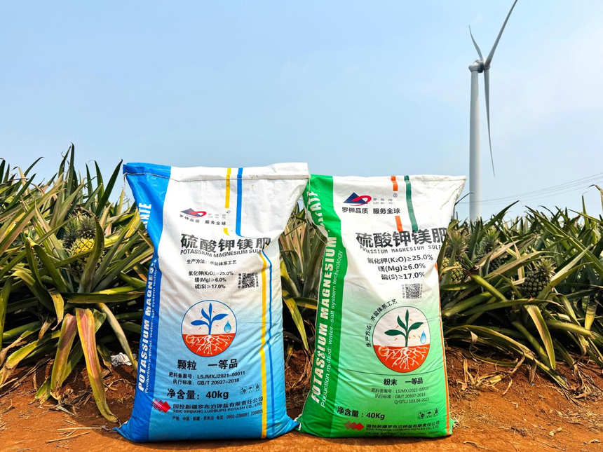 菠萝好“丰”景，增收“有甜头”，罗布泊产品赋能金色果海，激活产业新动能插图7