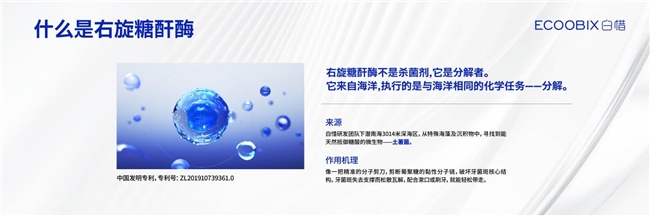 白惜官宣清新代言人何与：随与清新，共赴春日「香」遇插图2