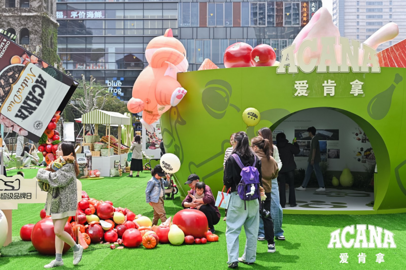 上市即受青睐：爱肯拿双拼倍护粮印证四十年匠心，深耕本土传递公益温度插图