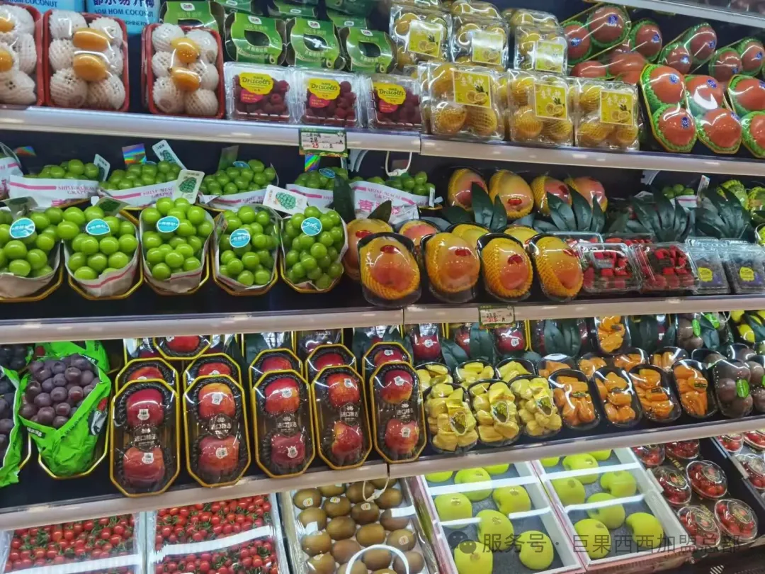 0 经验也能开好店，巨果西西一站式扶持流程大公开插图