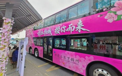 串联赏樱观光新模式！苏州金龙双层巴士开进扬州浪漫樱花季