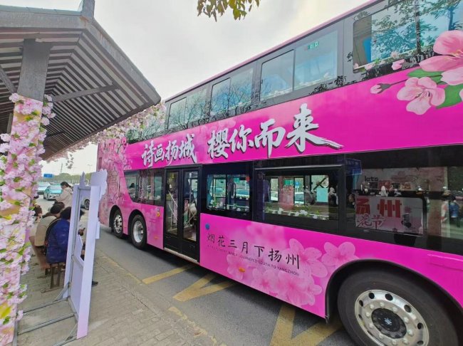 串联赏樱观光新模式！苏州金龙双层巴士开进扬州浪漫樱花季插图