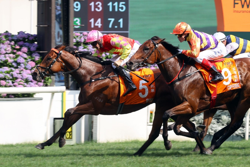 2026富卫保险冠军赛马日再破入场纪录 赛马旅游盛宴彰显香港联通国际优势插图3