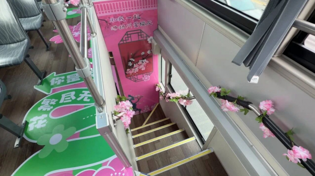 串联赏樱观光新模式！苏州金龙双层巴士开进扬州浪漫樱花季插图3