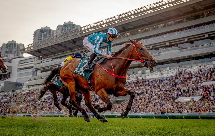 2026富卫保险冠军赛马日再破入场纪录 赛马旅游盛宴彰显香港联通国际优势插图4