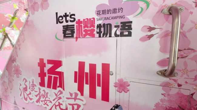 串联赏樱观光新模式！苏州金龙双层巴士开进扬州浪漫樱花季插图4