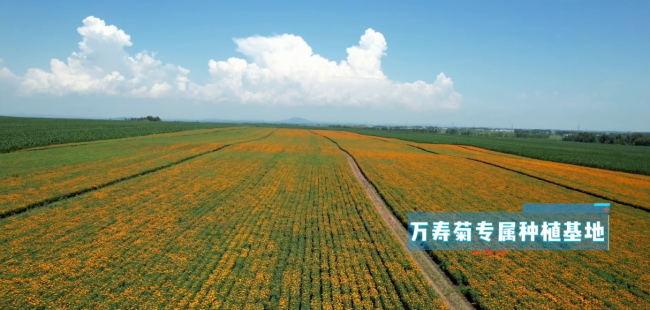 跨境保健品合规大考与行业信任重建插图5 跨境保健品合规大考与行业信任重建插图5