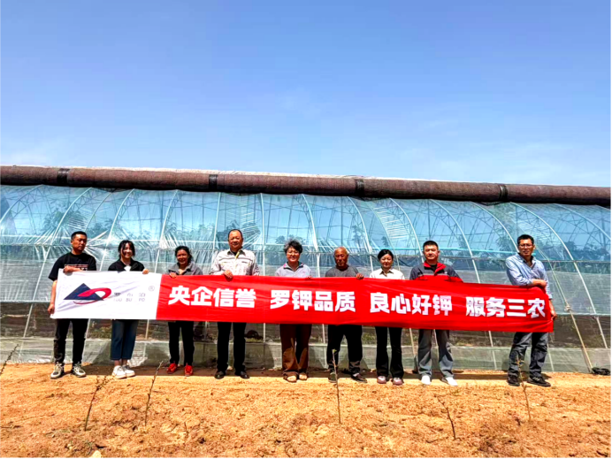 采得玲珑果，樱桃枝头红，“罗布泊”产品驱动樱桃增收“甜蜜引擎”插图2