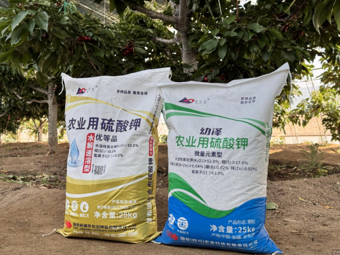 采得玲珑果，樱桃枝头红，“罗布泊”产品驱动樱桃增收“甜蜜引擎”插图8