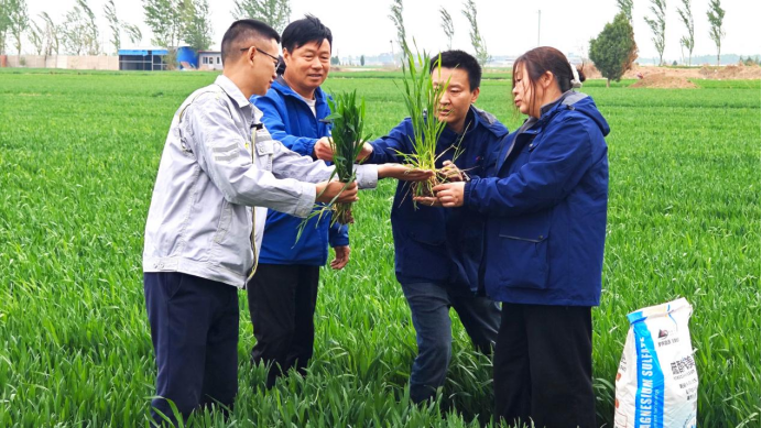 钾力领航 丰产共赢 | 罗布泊河北市场春耕保供暨种植技术交流会顺利举办插图4