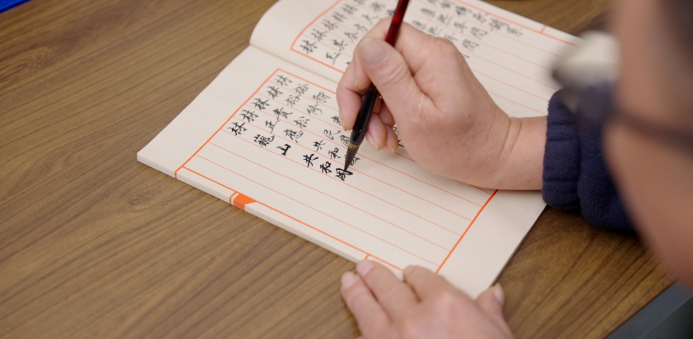 非遗周宁古法炮制技艺——守艺三百年，匠心润本草插图1
