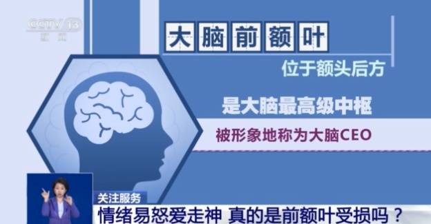 情绪易怒、爱走神是前额叶受损吗？如何科学改善？专家解读插图