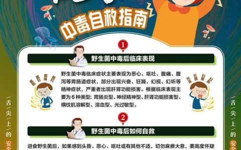 昆明市发布2026年野生菌中毒风险预警提示