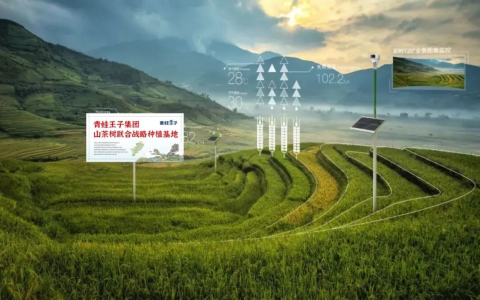 唤醒中国油力量！青蛙王子以“慢科研”刷新山茶油婴童护肤含金量