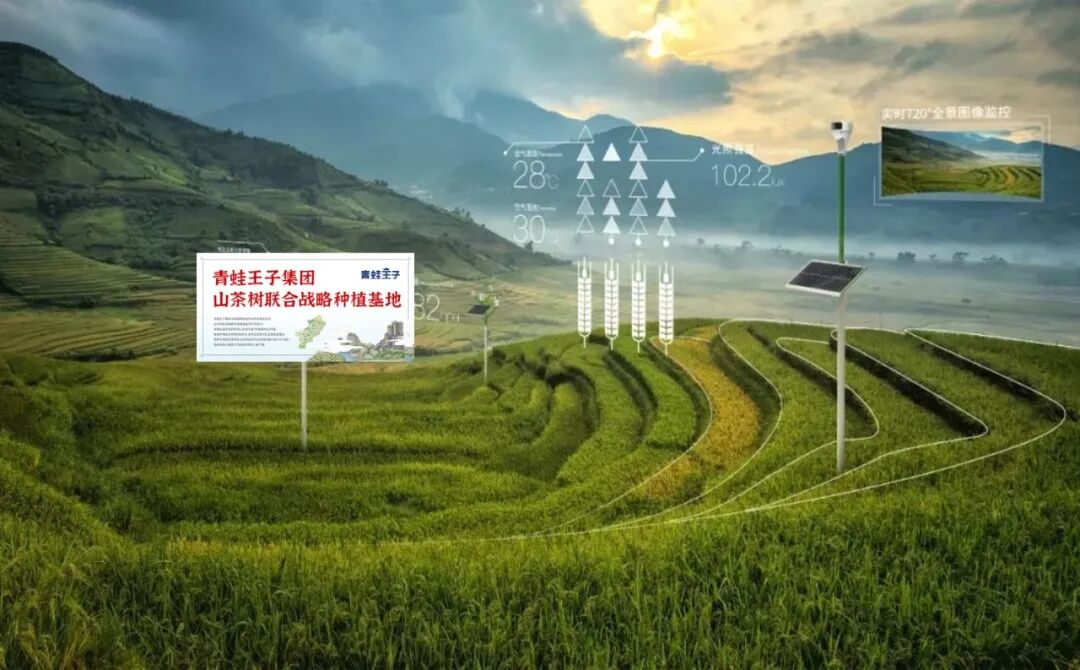 唤醒中国油力量！青蛙王子以“慢科研”刷新山茶油婴童护肤含金量插图
