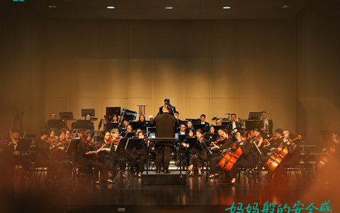 大湾区千人孕妈胎教音乐会落幕，全棉时代展位成“安心打卡地”