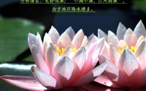 今日，小满遇上521