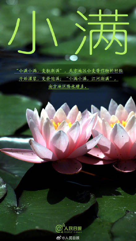 今日，小满遇上521插图