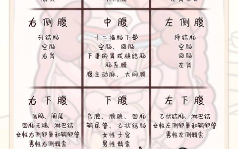 医聊 | 肚子疼时，你的身体在“说”什么？