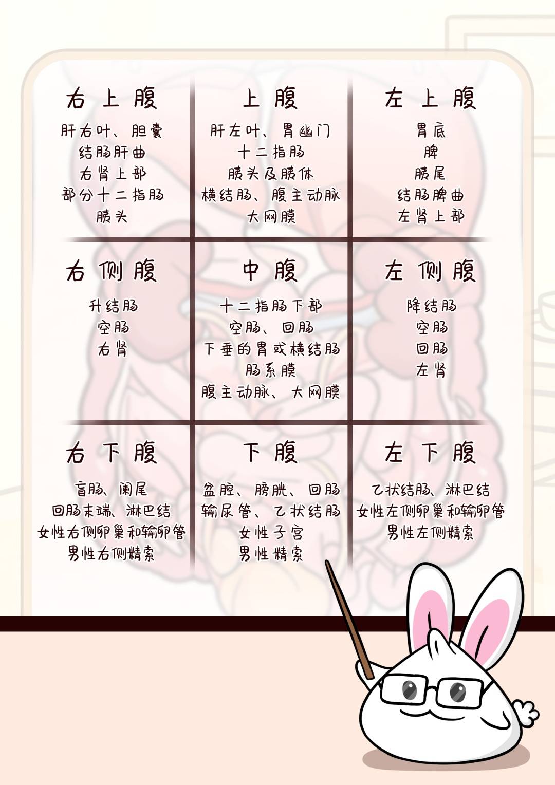 医聊 | 肚子疼时，你的身体在“说”什么？插图