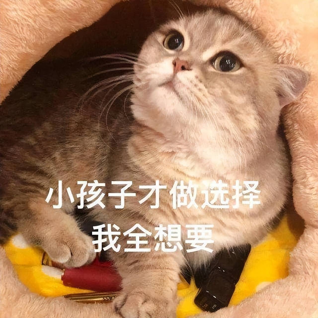 618京东销量榜杀疯了！这3款家电闭眼入全是品类第一插图10