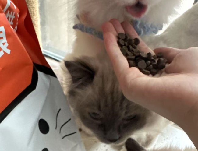 什么猫粮低敏又长肉？希喂、网易严选、百利猫粮详细对比插图5