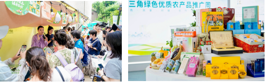 5月22-24日，青浦练塘！一站式尝遍沪苏浙皖地道风味，等你来逛！插图1