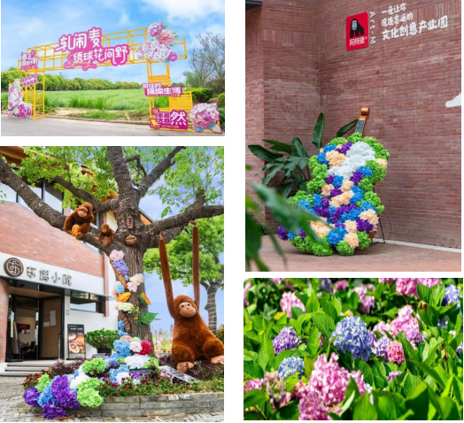 5月22-24日，青浦练塘！一站式尝遍沪苏浙皖地道风味，等你来逛！插图6