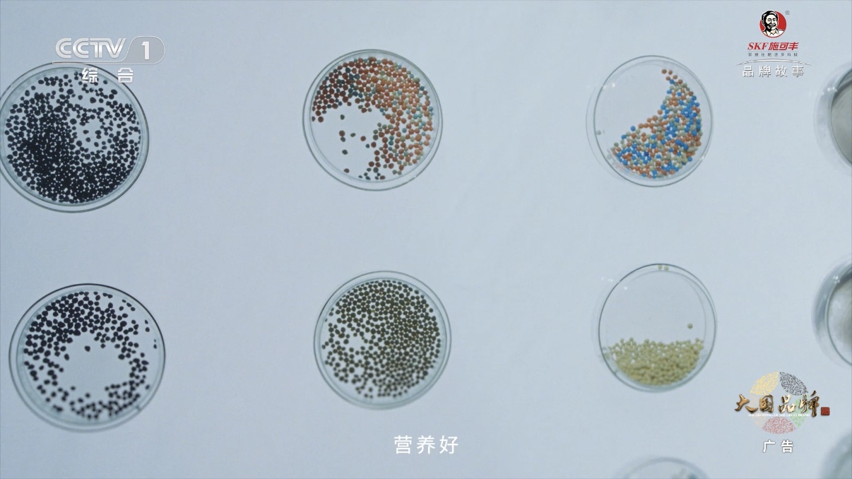 一句词，千年约 | 施可丰《稻花香里说丰年》首登央视插图2