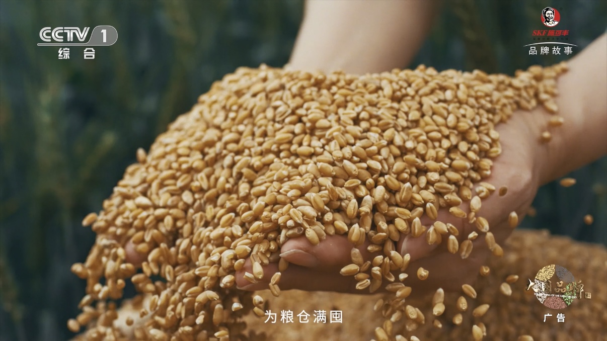一句词，千年约 | 施可丰《稻花香里说丰年》首登央视插图4