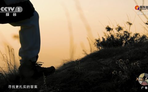 振东健康再登CCTV-1 | 以大健康生态回应时代之问