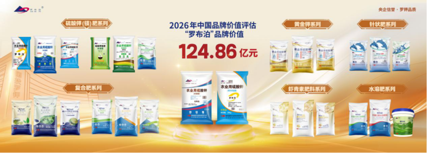 科技赋能 质效双收 | 罗布泊系列产品深耕一线助农增收插图6