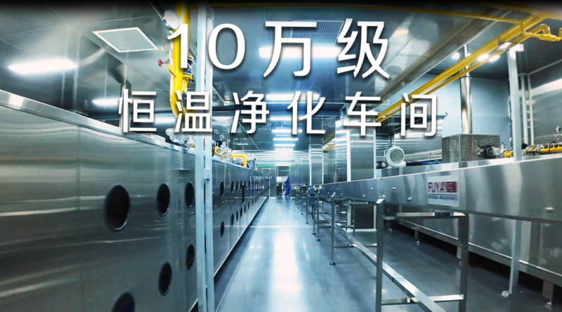 2026中国粽子行业白皮书发布插图3