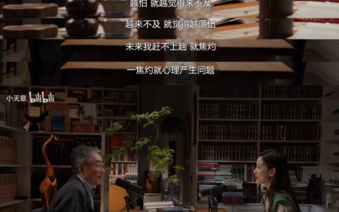 章泽天自曝访谈前夜焦虑失眠：AI时代下，优秀者亦难逃“时间焦虑”