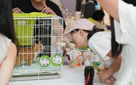 云鲸携手深圳猫网举办线下领养活动，以公益行动践行宠物友好理念