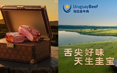 “舌尖好味 天生圭宝”上线半年：乌拉圭牛肉如何用一只“宝箱”抢占中国高端餐桌
