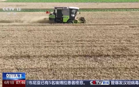 三夏“麦收地图”更新 全国已收小麦7613万亩