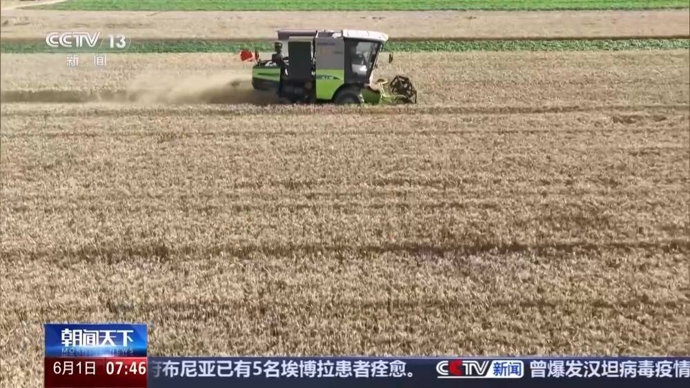 三夏“麦收地图”更新 全国已收小麦7613万亩插图 三夏“麦收地图”更新 全国已收小麦7613万亩插图