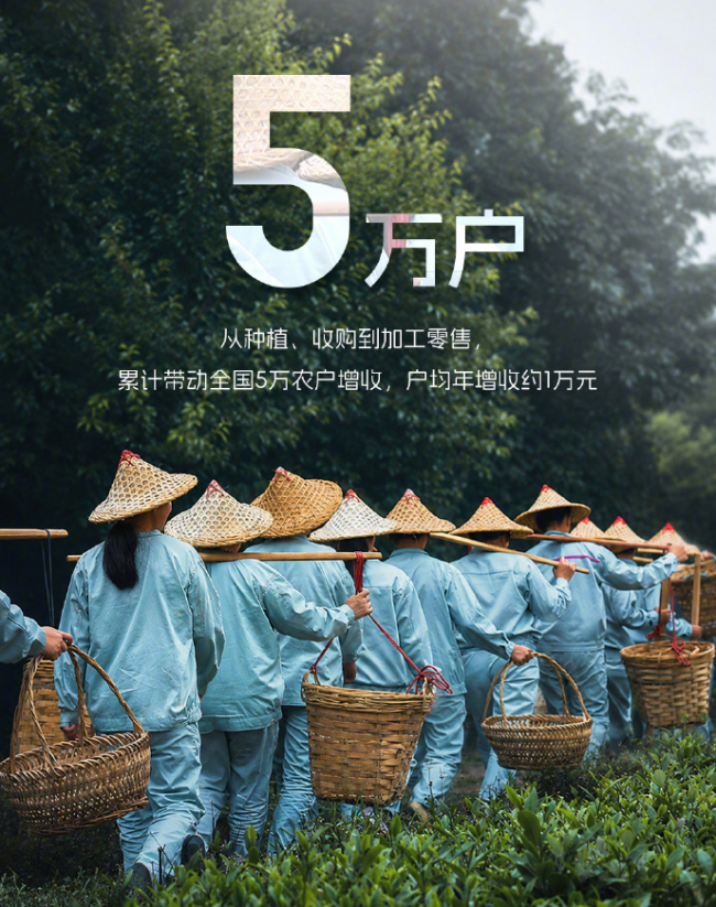 溜溜梅港股上市！超6500倍认购开启行业新篇插图1