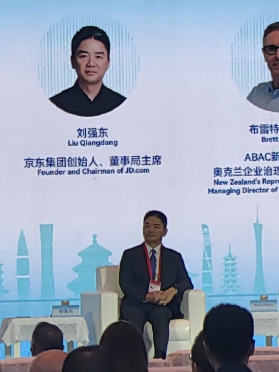 刘强东：企业到海外投资不能只想赚钱插图