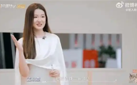 孟羽童综艺节目再求职 主动向平安高管求工作
