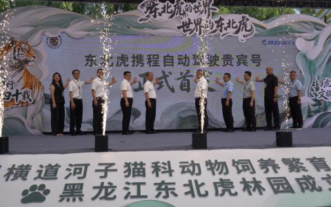 全球首款！金旅自动驾驶观虎神车正式上线，惊艳全球老虎日