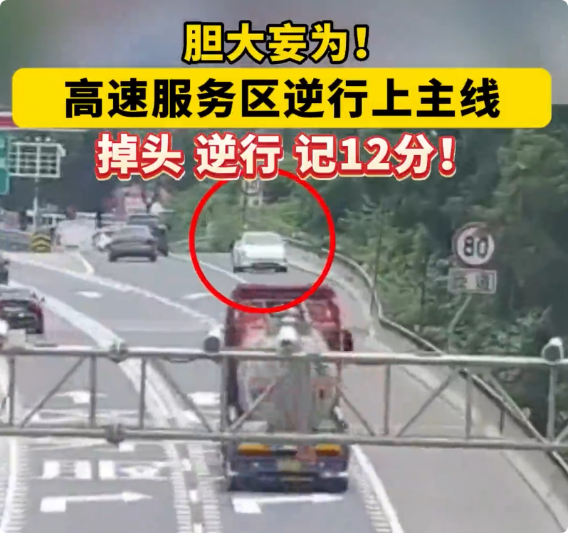 新手女司机迷路逆行，被扣12分重考科目一插图