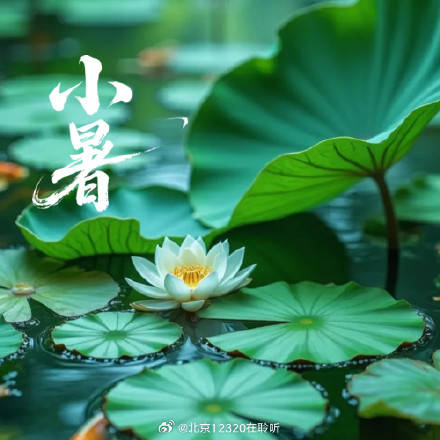 小暑节气到！这样养生，湿热天儿少遭罪插图