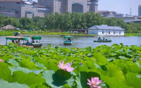11年未遇！北京今夏6月无高温日