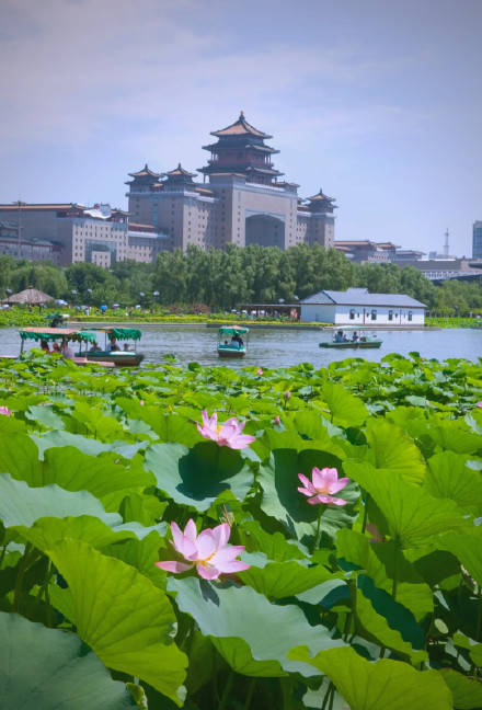 11年未遇！北京今夏6月无高温日插图