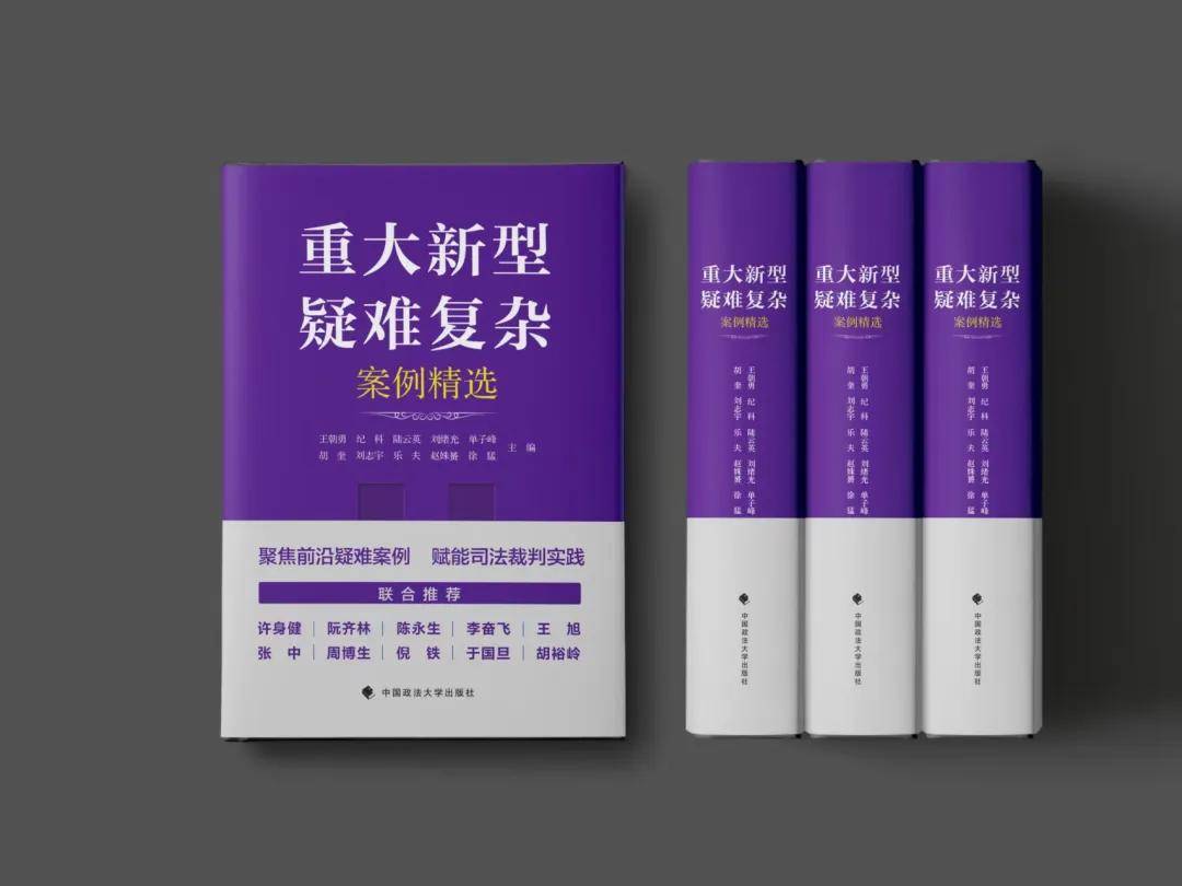 京师人物｜王朝勇：专注重大新型疑难复杂案件！21年，让专业成为信仰插图26