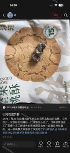 山姆专供泸溪河桃酥疑吃出金属牙冠，品牌方回应已成立专项小组排查插图