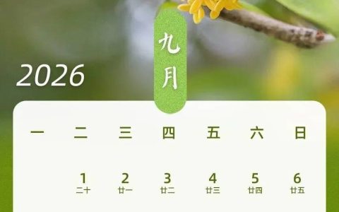 “请3天假能休13天”，冲上热搜