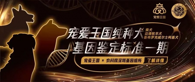 《纯种犬品种基因标准》共建计划 正式发布 品种标准从外观表型向基因科学的模式升级插图 《纯种犬品种基因标准》共建计划 正式发布 品种标准从外观表型向基因科学的模式升级插图